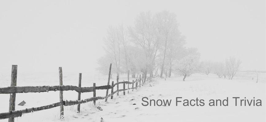 Snow Facts and Trivia﻿