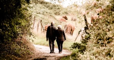 Dementia friendly day out