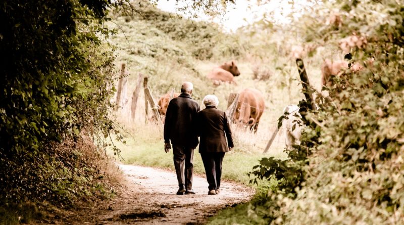 Dementia friendly day out