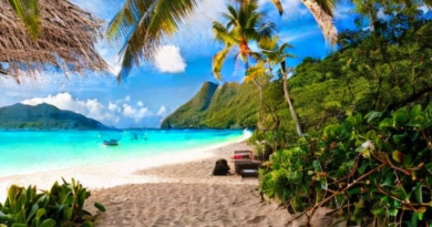 Romantic Activities in Barbados: Ignite Passion on Your Getaway