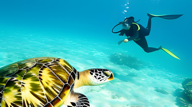 Swimming With Sea Turtles in Barbados